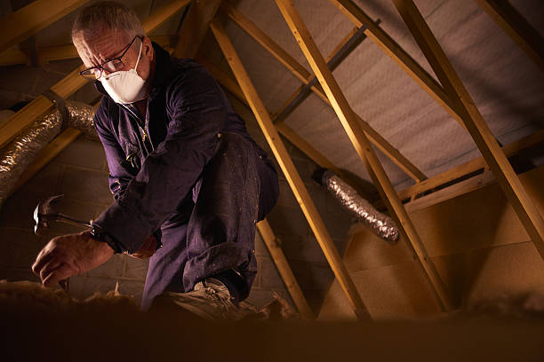 Best Insulation Installation Services in Lakeland North, WA